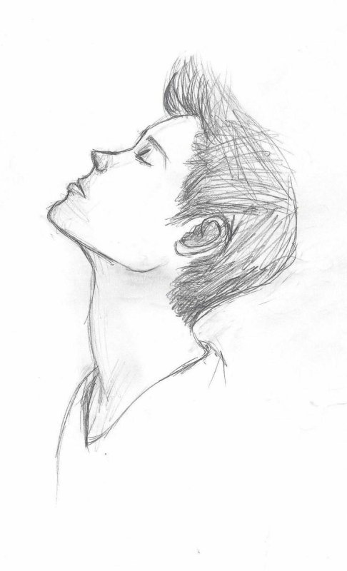 Рисунки карандашом