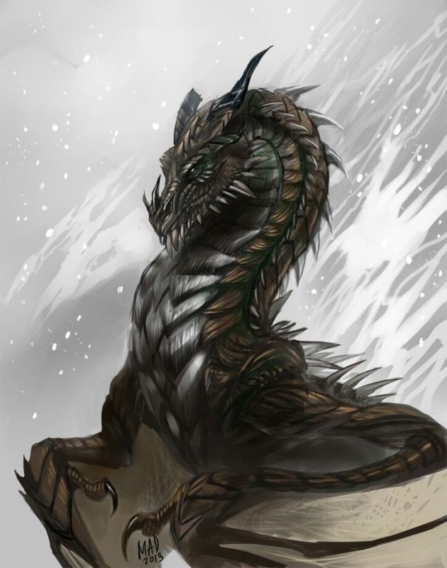 The Elder Scrolls v Skyrim Партурнакс