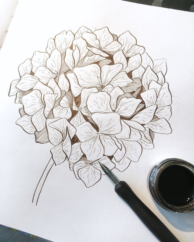 Цветы для рисования