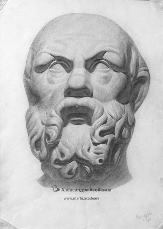 Рисунок гипсовой головы МАРХИ