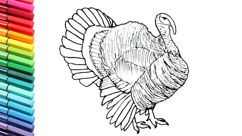 Легкие индейки