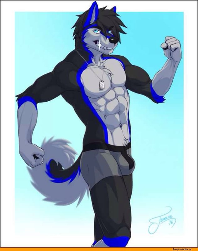 Furry волк feralise
