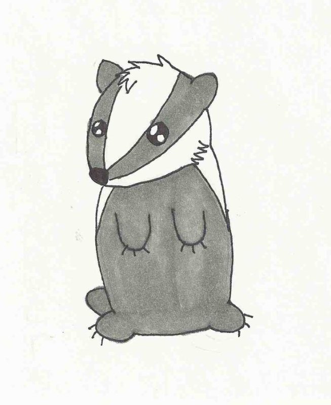 Барсук рисунок легкий для срисовки