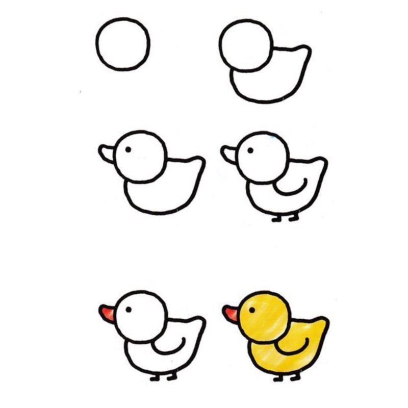 Рисунки легко