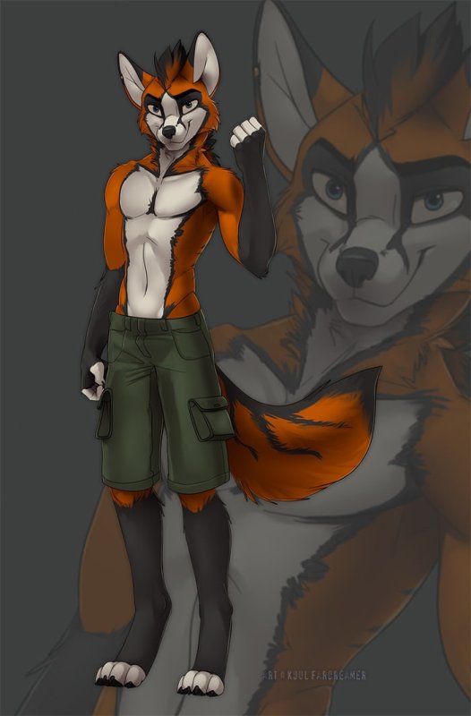 Фурри Koul Fox
