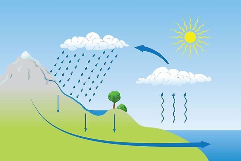 Круговорот воды в природе картинки