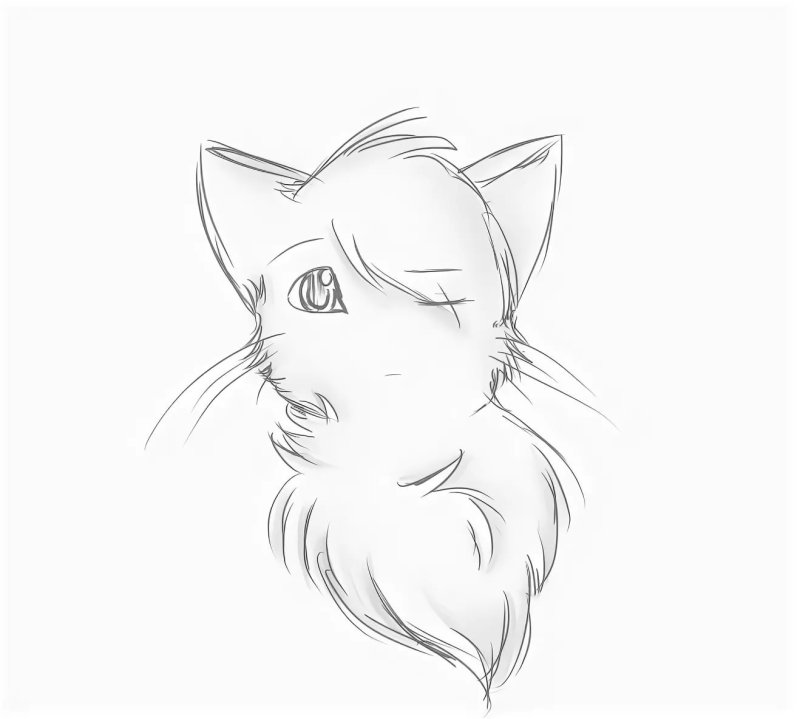 Лёгкий рисунок котика для срисовки