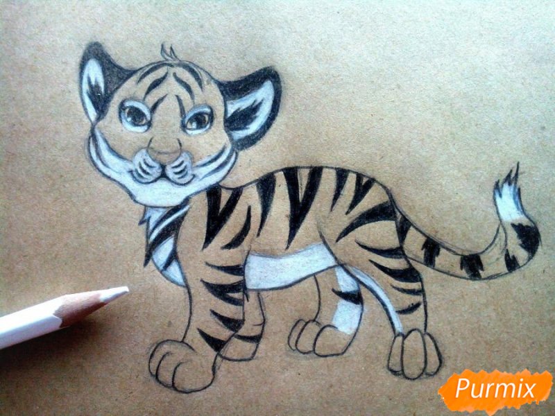 Рисунок тигра карандашом