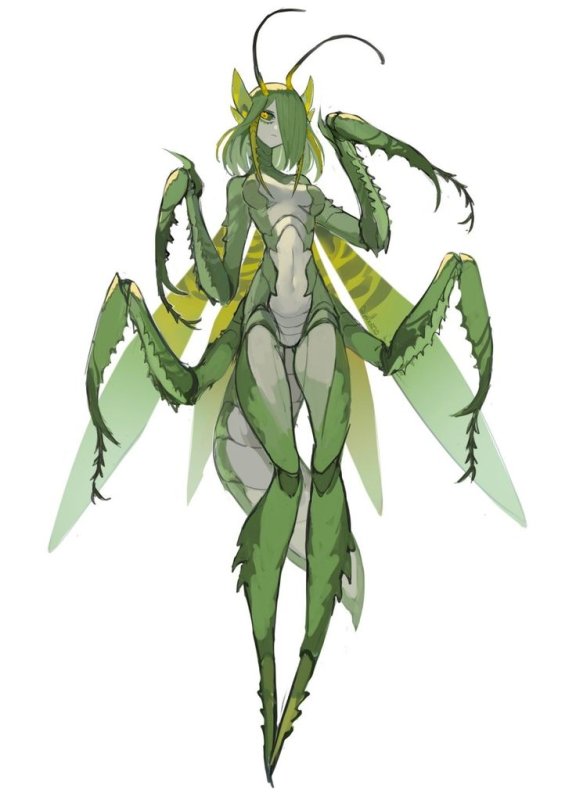 Monster girl Мантис