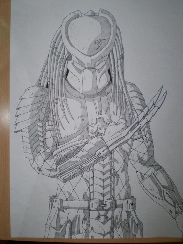 Хищник рисунок карандашом