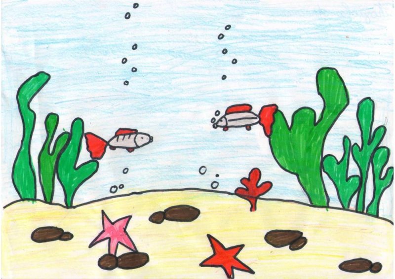 Лёгкие рисунки морского дна