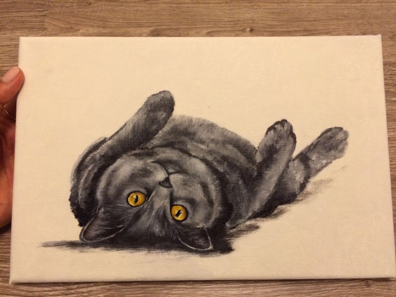 Кот рисунок