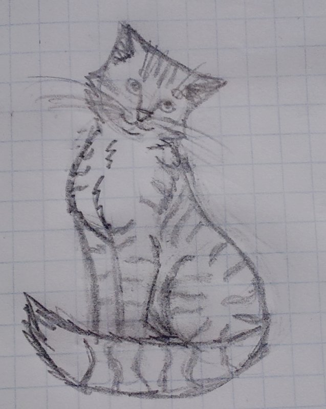 Рисунки лёгкие и красивые