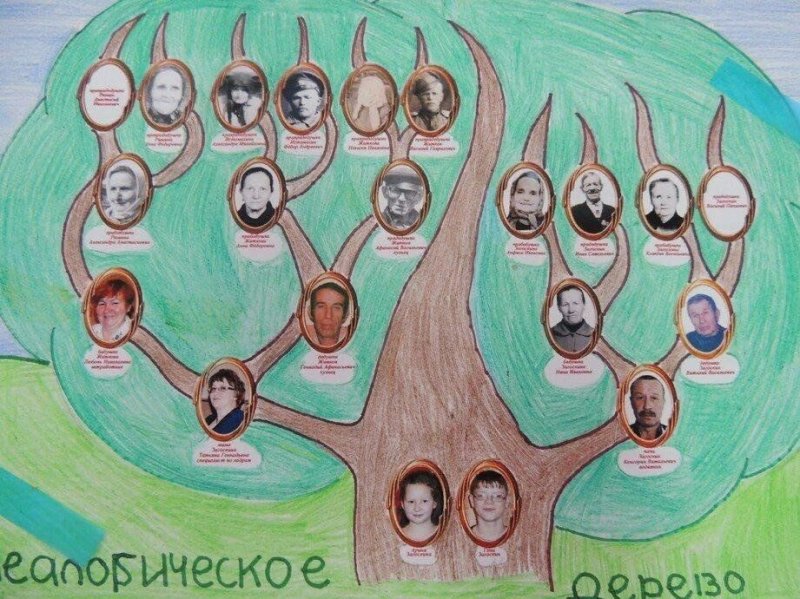 Семейное Древо рисунок легкий