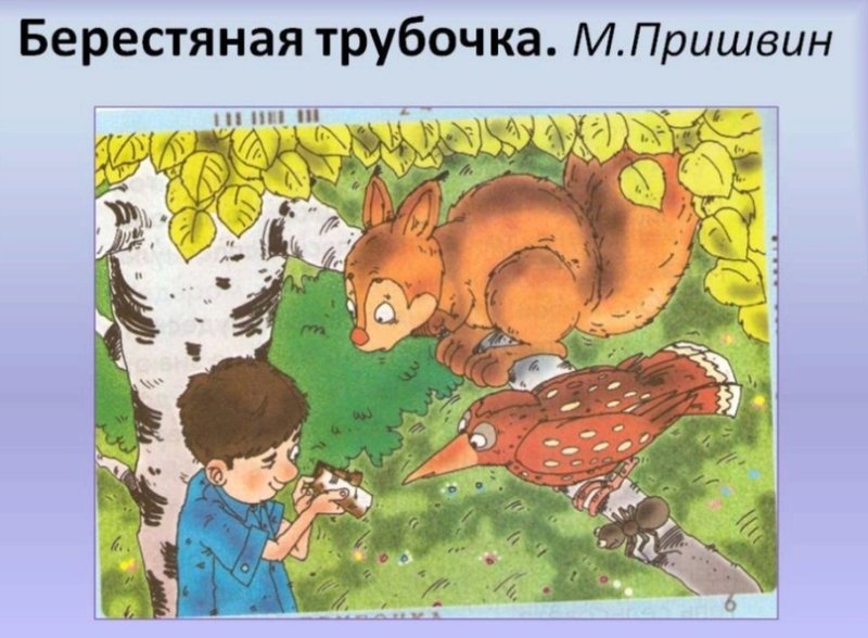 Пришвин берестяная трубочка иллюстрация