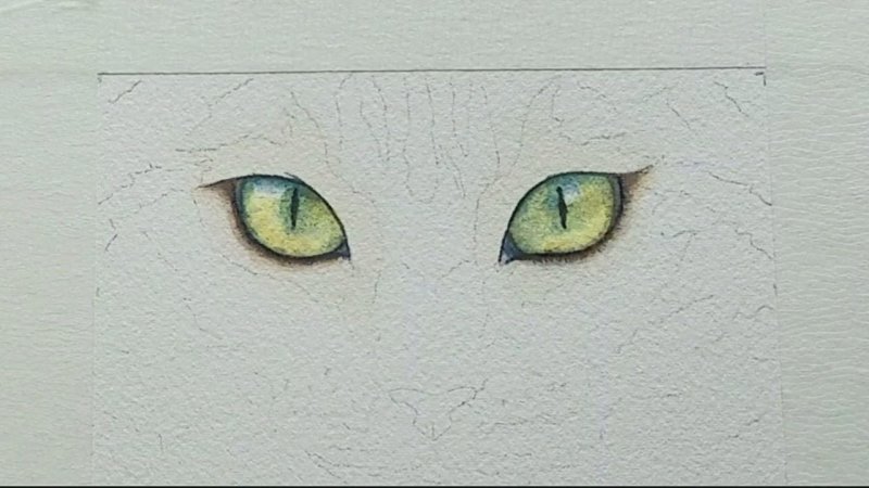 Кошачьи глаза рисунок