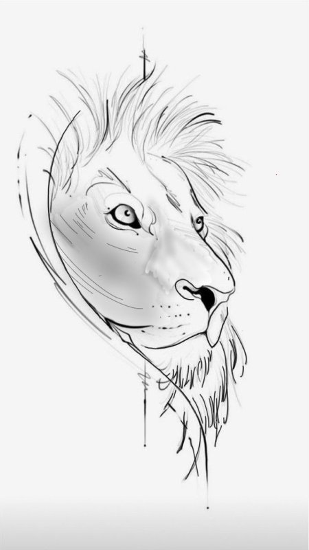 Лев эскиз