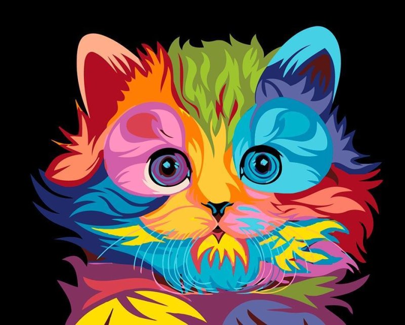 Цветные коты