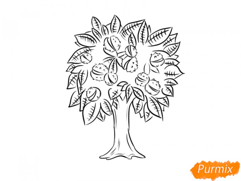 Каштан дерево нарисовать