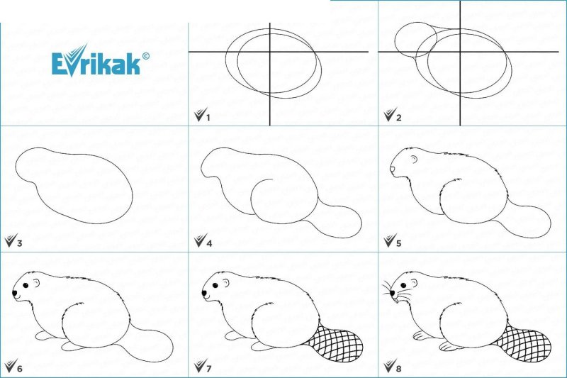 Как поэтапно нарисовать Бабр