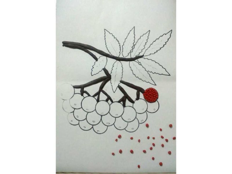 Рябина рисунок карандашом легкий
