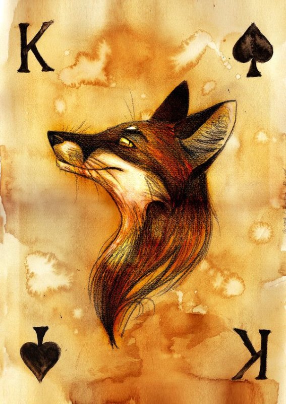 Карты с лисами Culpeo-Fox