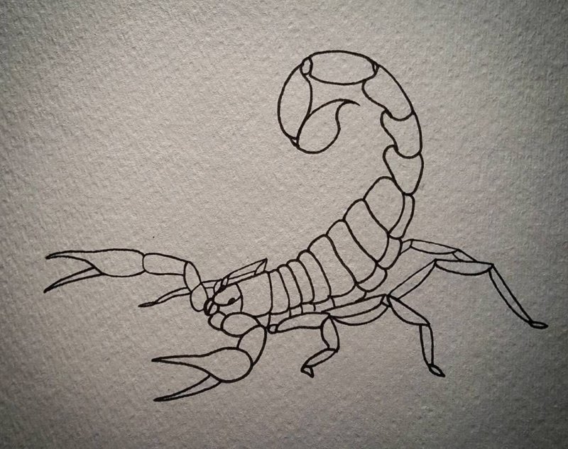 Скорпион эскиз