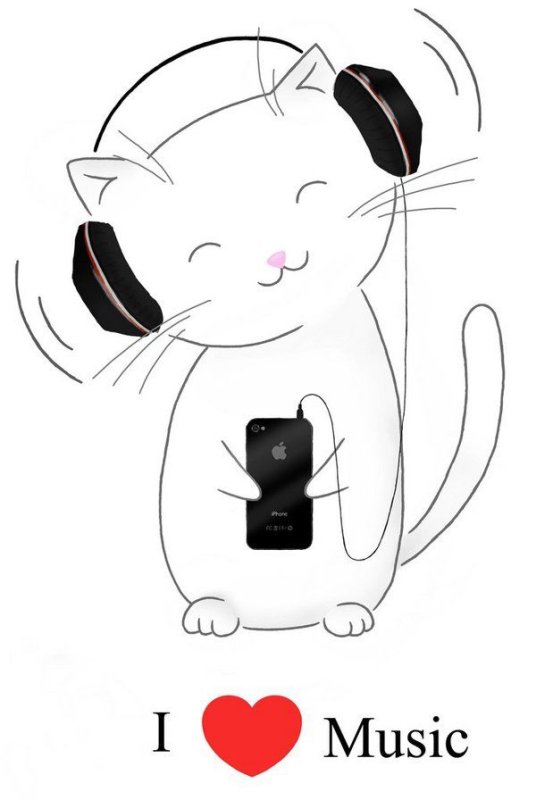 котик в наушниках