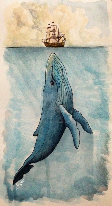 Кит акварелью