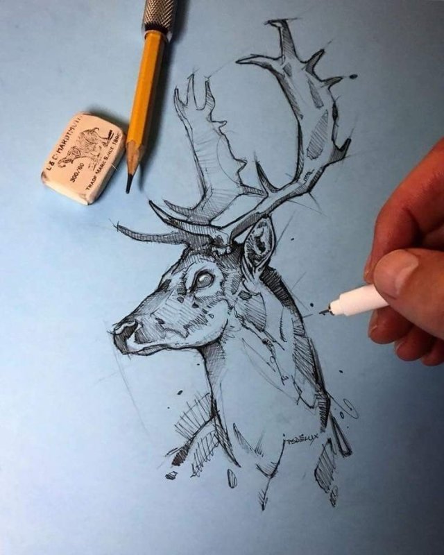 Необычные рисунки карандашом