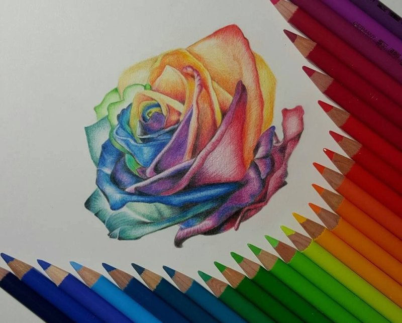 Рисунки цветными карандашами