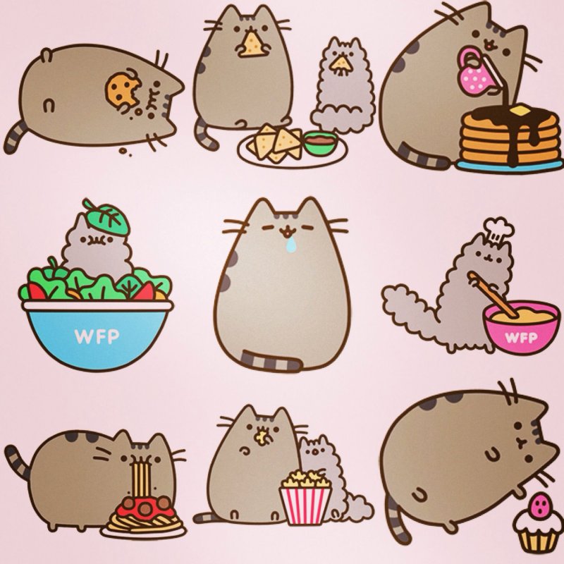 Кот Пушин Pusheen