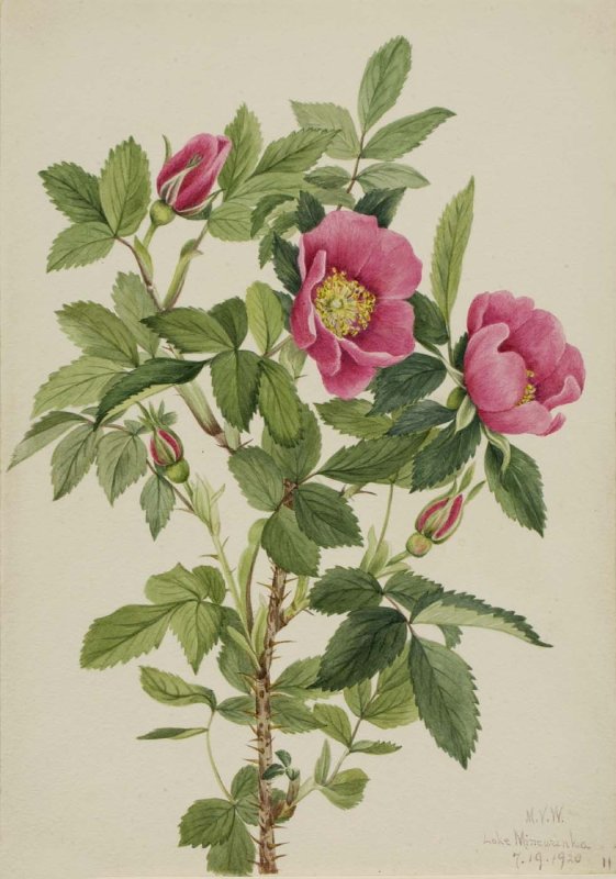 Jef Bourgeau художник
