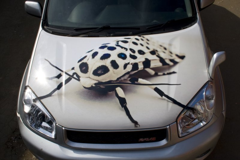 Аэрография на капот автомобиля