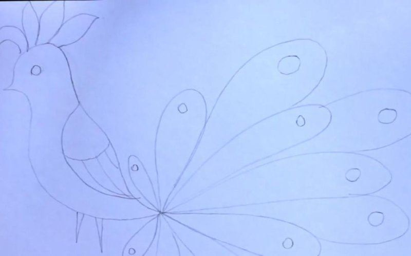 Сказочная птица рисование в подготовительной группе