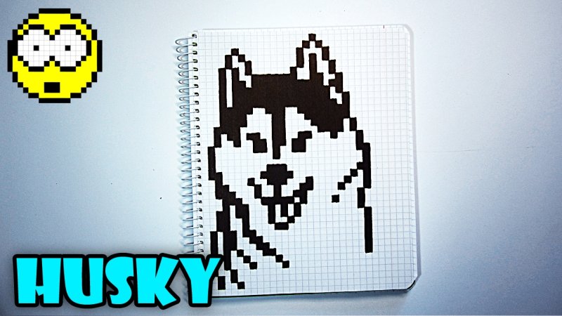 Рисунки по клеточкам