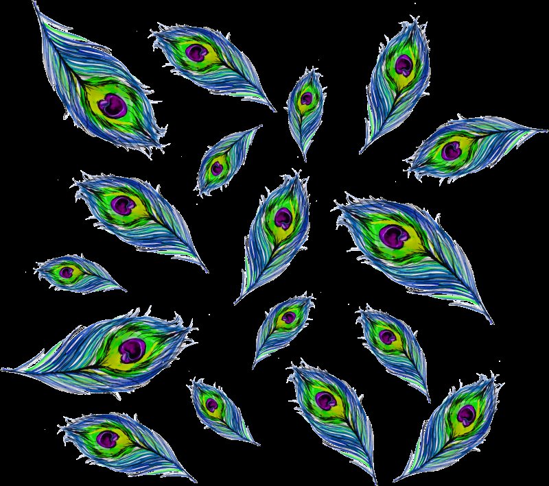 Перо павлина рисунок