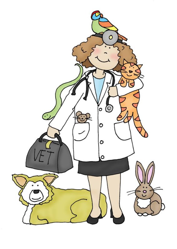 Ветеринар иллюстрация