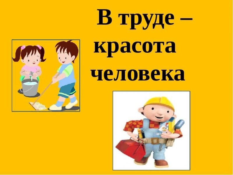 В труде красота человека сообщение