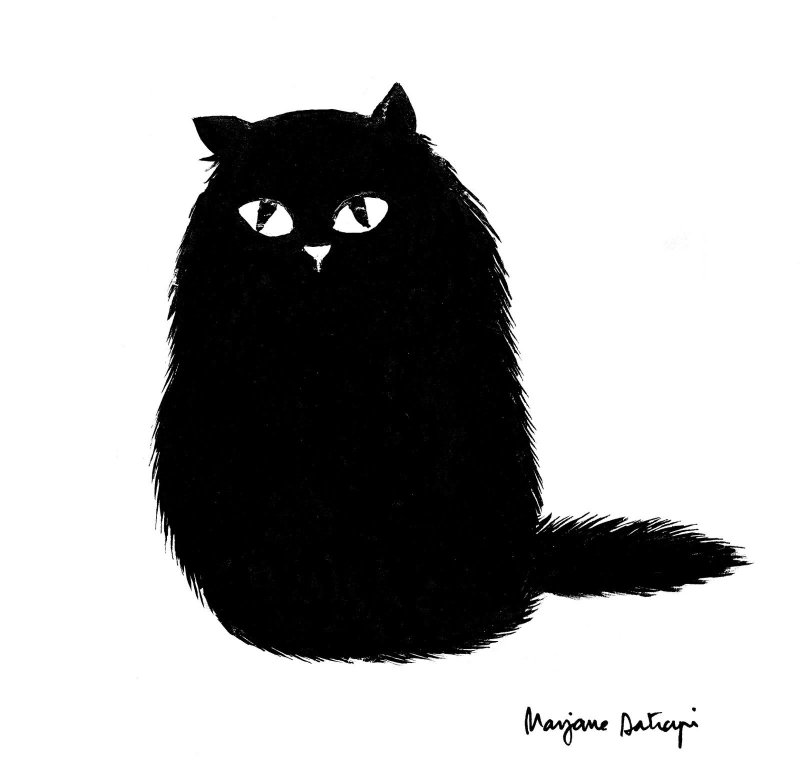 Чёрный кот
