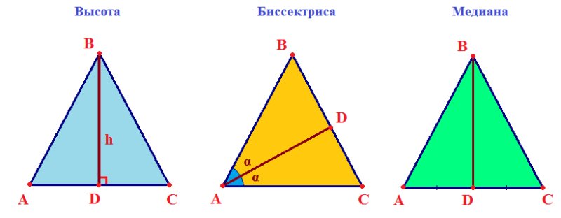 Медиана биссектриса и высота треугольника