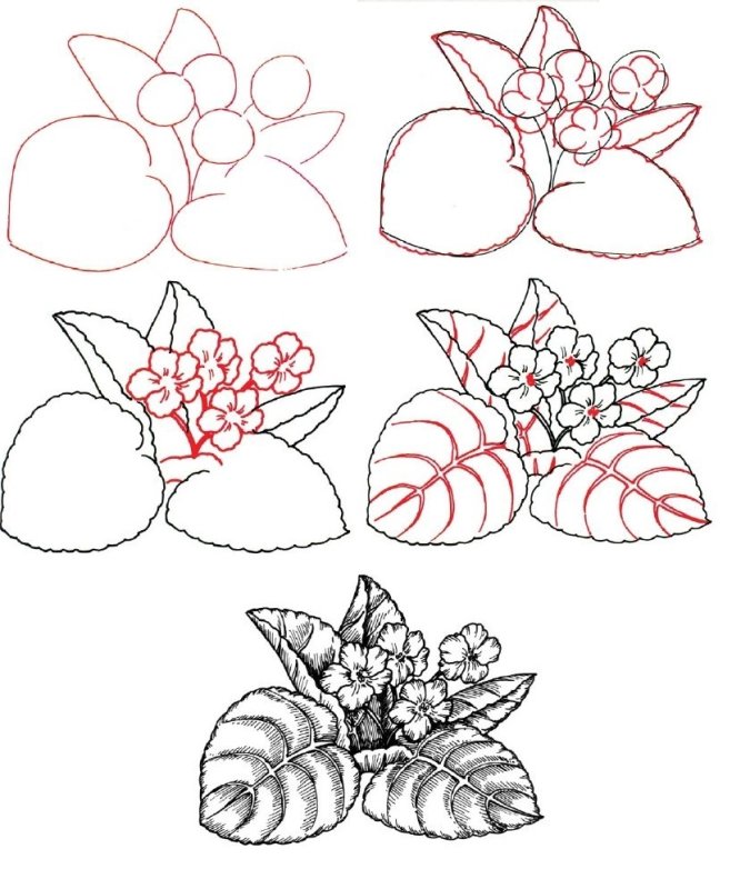 Фиалка рисунок карандашом