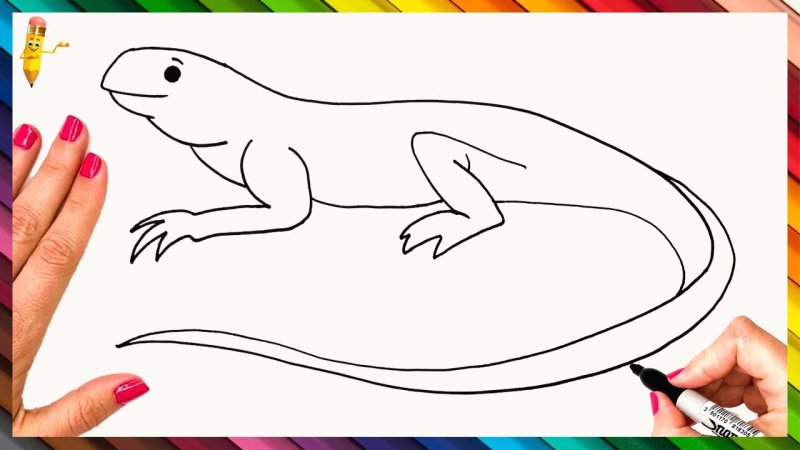 Ящерица рисунок поэтапно