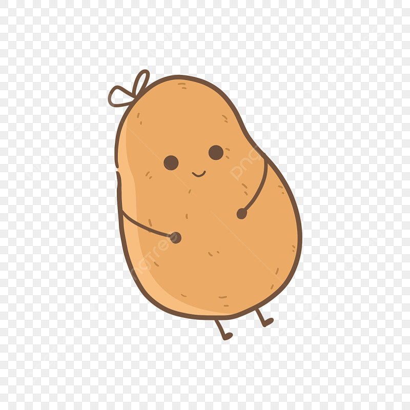 Картошка рисунок