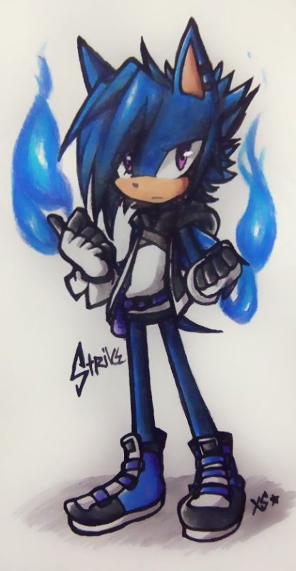 Sonic the Hedgehog OC