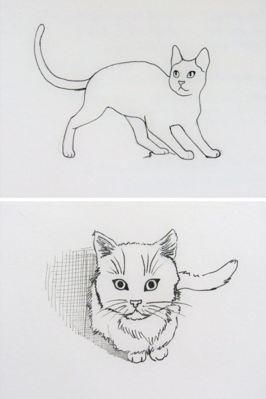 Рисунок кота для срисовки