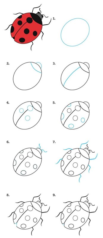 Пошаговое рисование для детей