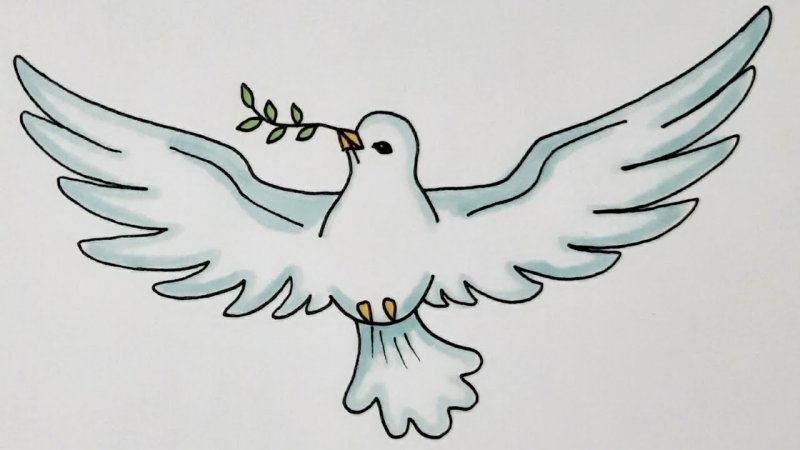 Голубь рисунок