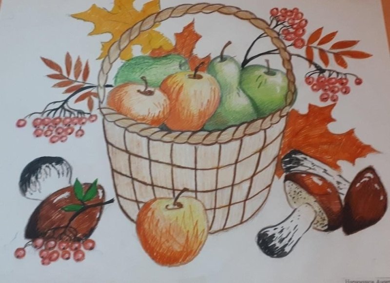 Дары осени рисунок