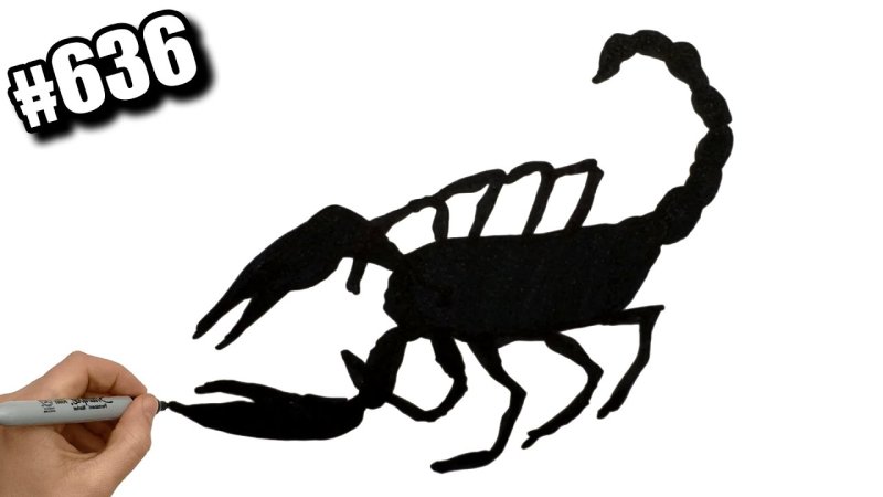 Нарисовать скорпиона